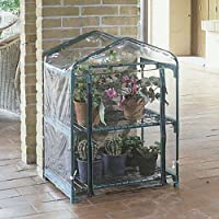 Verdemax 2490 Azalea - Invernadero (70 x 50 x 92 cm- 2 estantes)